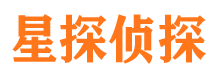 环翠市侦探公司